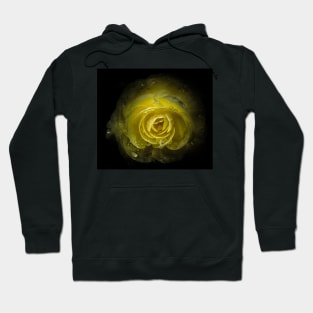 Backyard Flowers 64 Color Version Hoodie